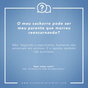 post_0000_1